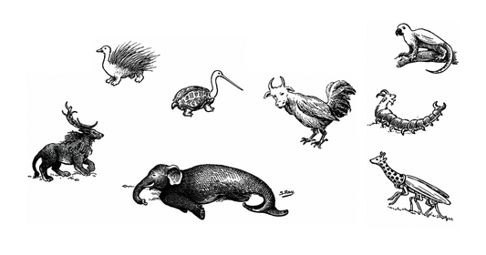 Sukumar Ray's original drawing for Khichuri, Abol Tabol